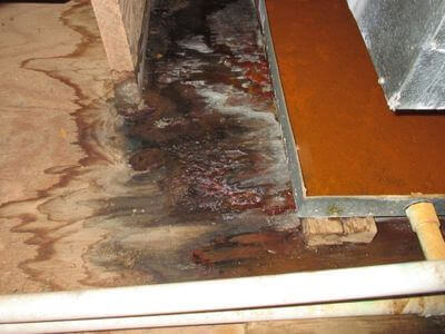 About Buckeye Water Damage Restoration - water damage restoration experts in Buckeye